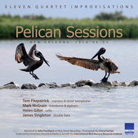 Fitzpatrick-McGrain-Gillet-Singleton: "Pelican Sessions"