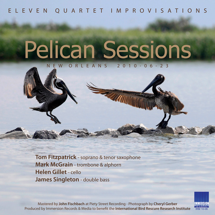 Fitzpatrick-McGrain-Gillet-Singleton: Pelican Sessions - Immersion Records 2011